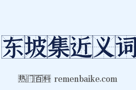 东坡集近义词是什么意思的图片